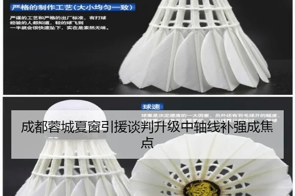 成都蓉城夏窗引援谈判升级中轴线补强成焦点