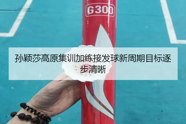 孙颖莎高原集训加练接发球新周期目标逐步清晰